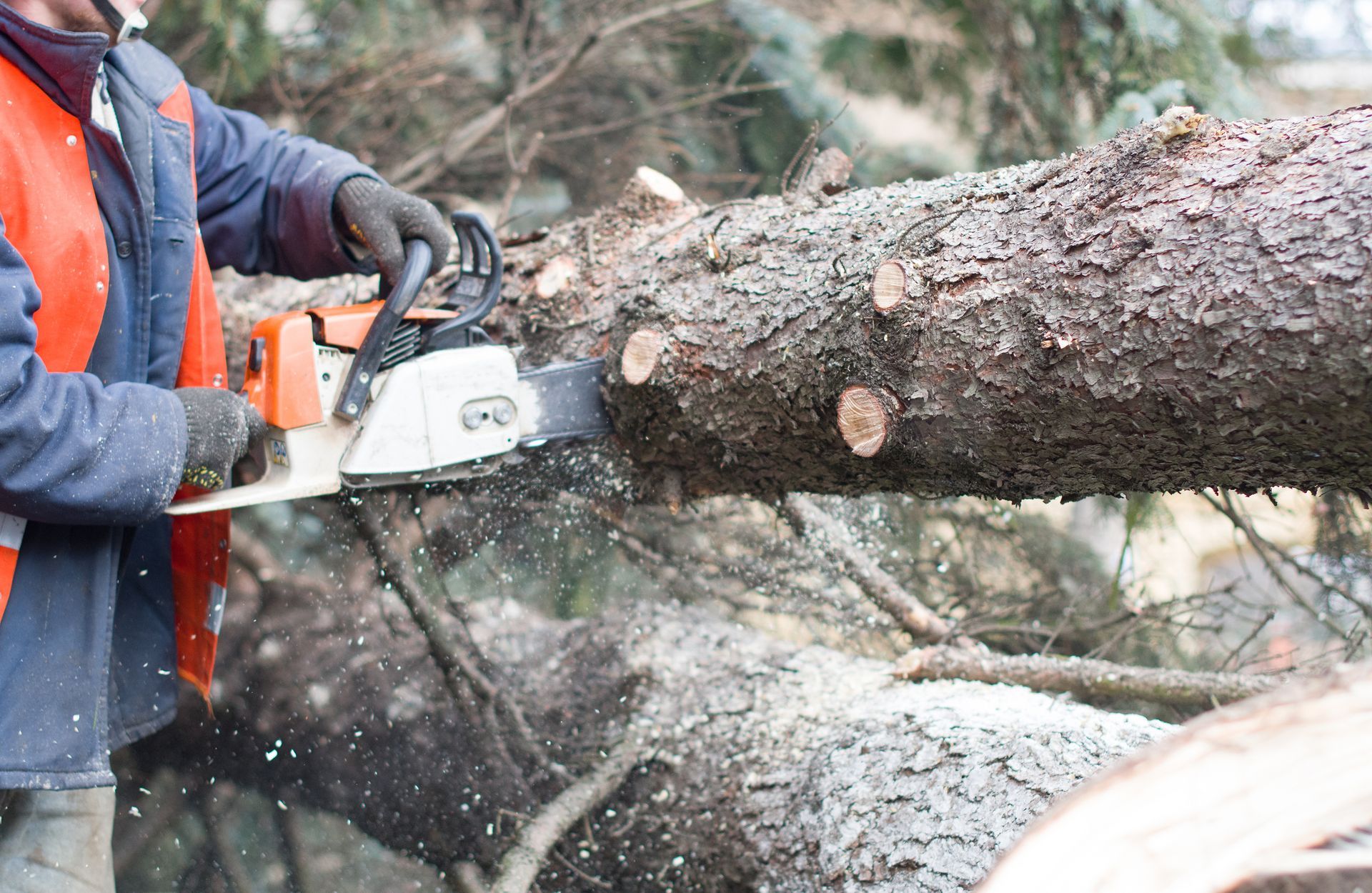 Person using a chainsaw to cut a log in a forest, wearing work gloves and an orange safety vest.