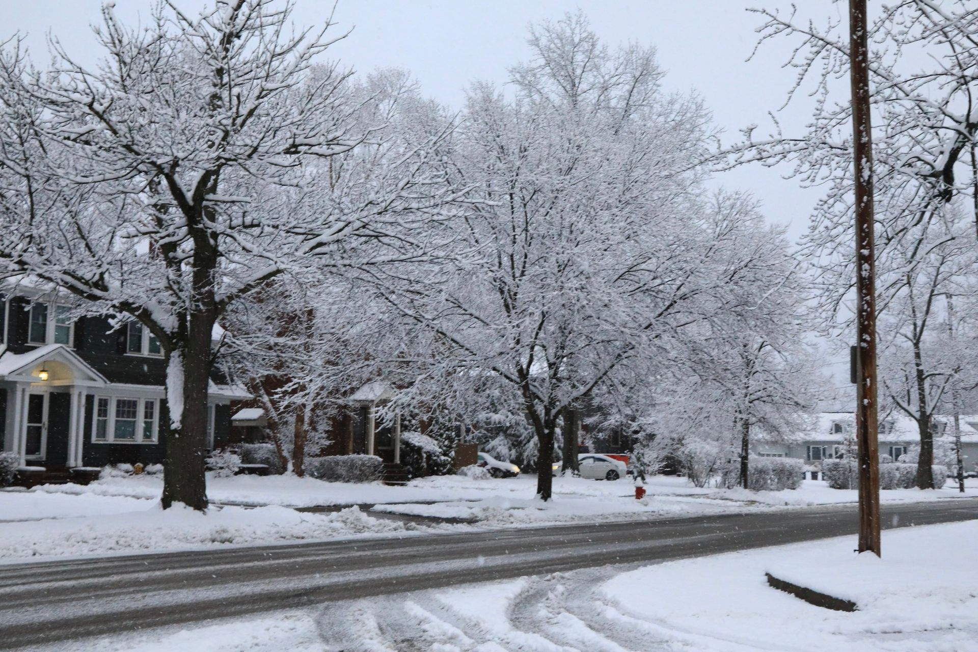 Snow-covered street with houses and trees. Overcast sky.