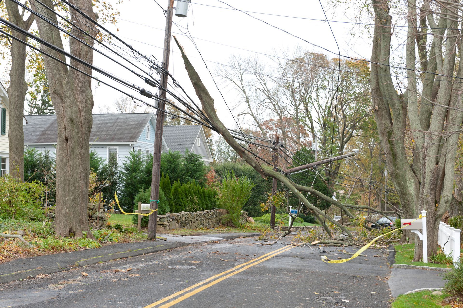 Fallen tree on road, downed power lines. Yellow caution tape. Gray asphalt, houses in background.