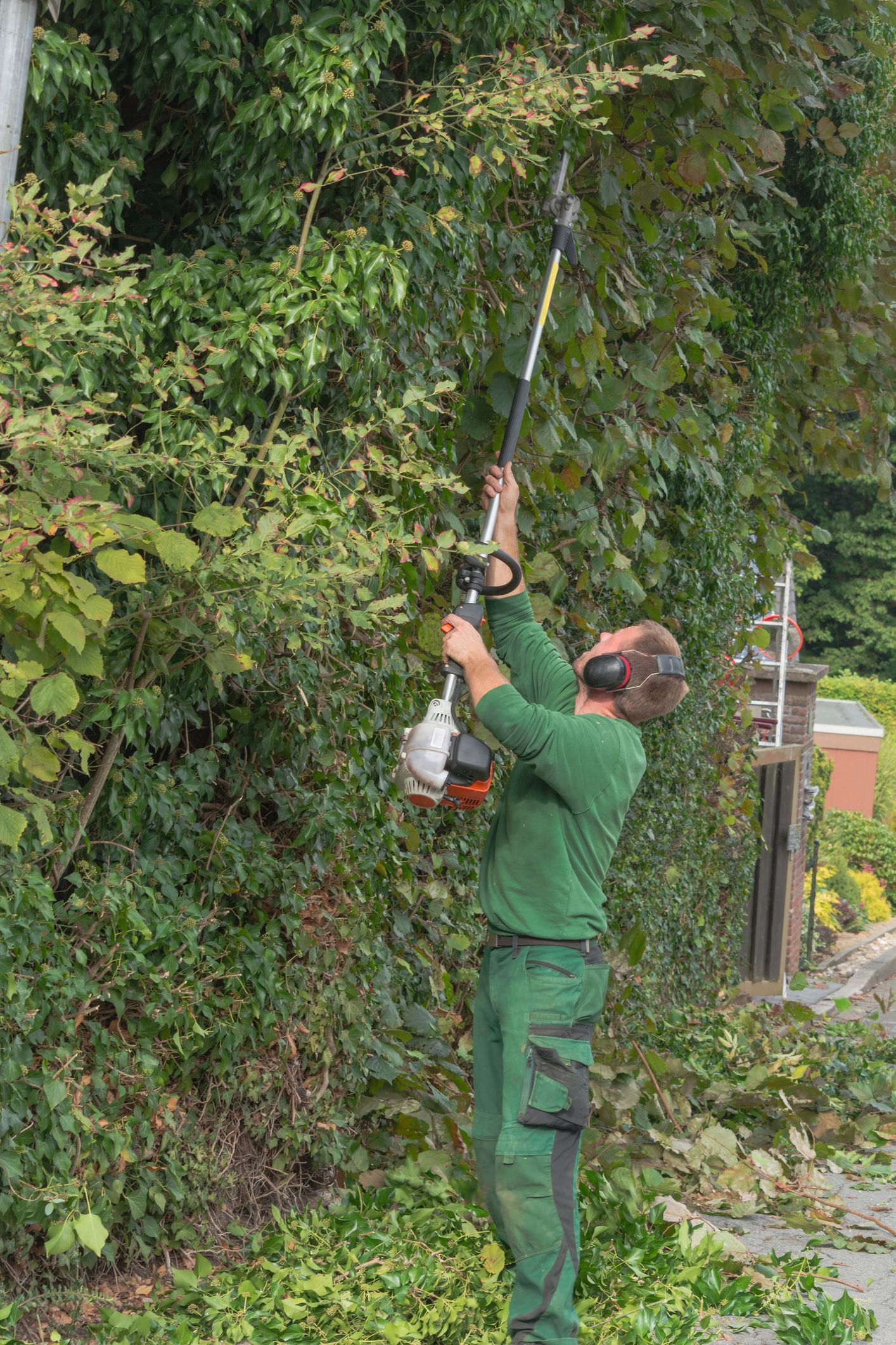 A man in green attire cuts a tree in St. Louis, MO, showcasing Baumann Tree's expert tree care services in the area.