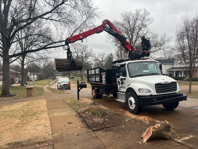 Tree Removal Service Fenton MO