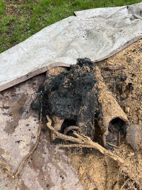 Burned tree roots and charred debris on a tarp outdoors