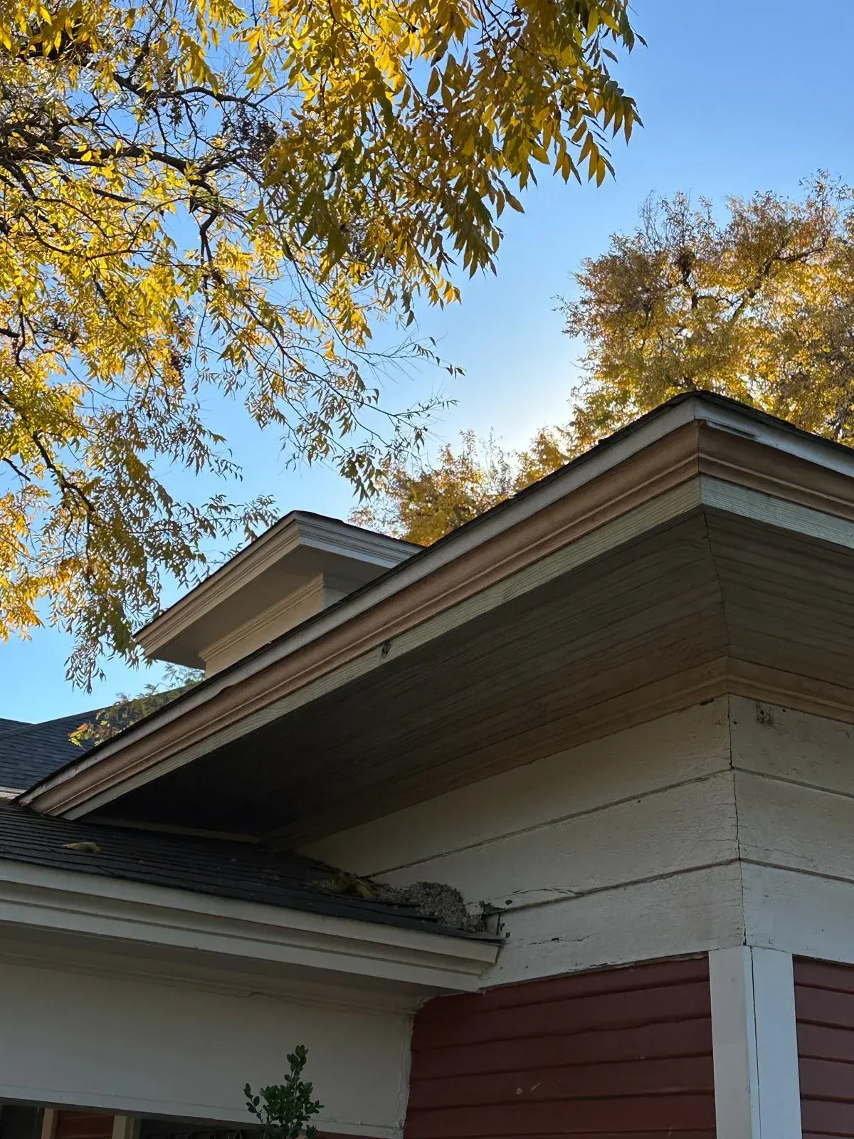 Exterior corner of a house with white siding, red trim, and autumn leaves overhead