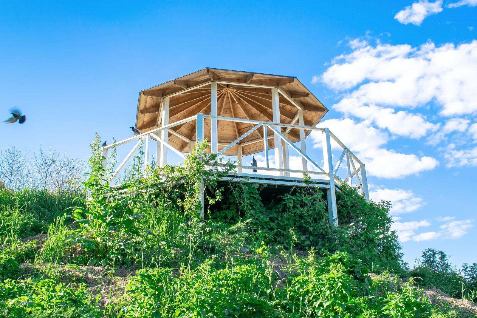 Wooden gazebo on a lush green hill under a bright blue sky with clouds