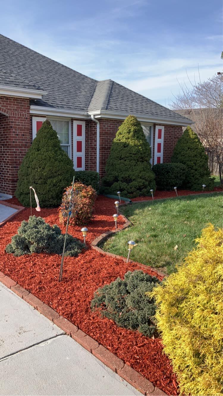Landscaped front yard with red mulch, shrubs, and a brick house with white-trimmed windows