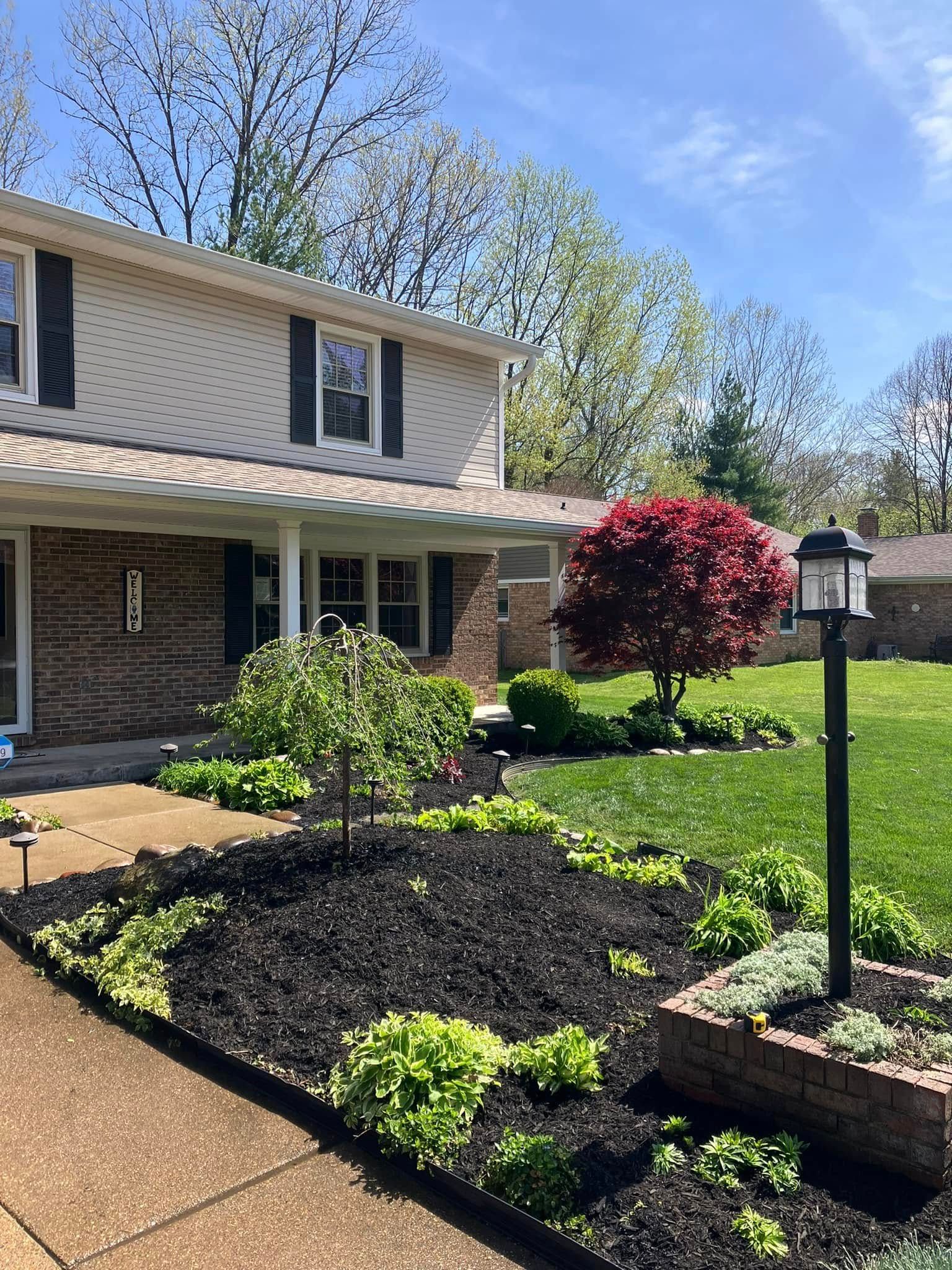 Front yard garden with black mulch, red shrub, and a house under a blue sky