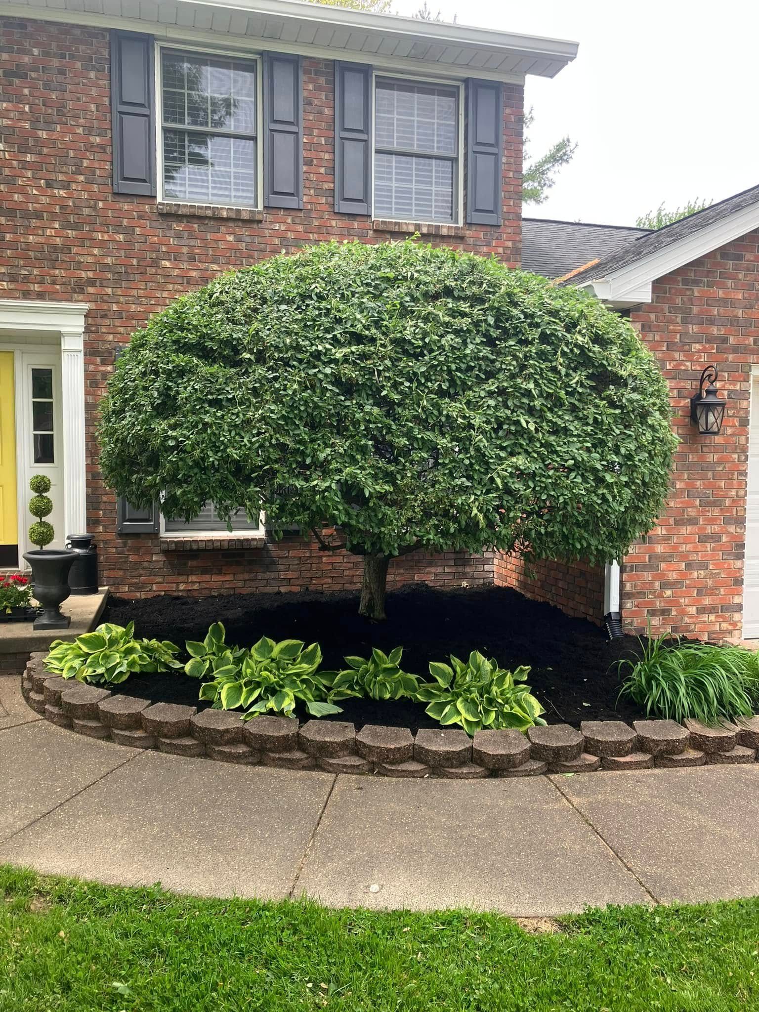 Brick house front with trimmed rounded shrub, black shutters, and flower bed along the sidewalk