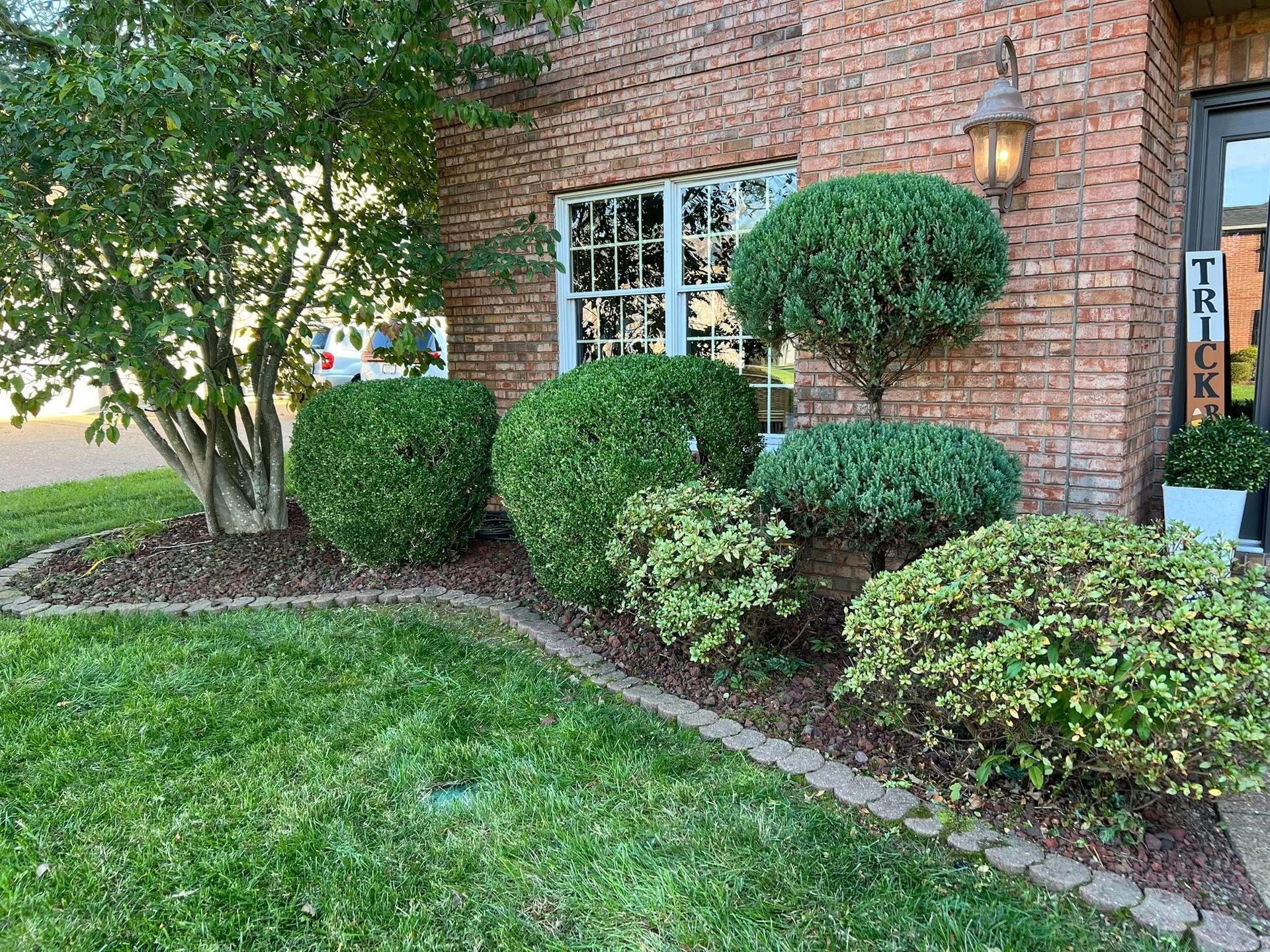 Front yard with trimmed shrubs, green lawn, brick house wall, and a window.
