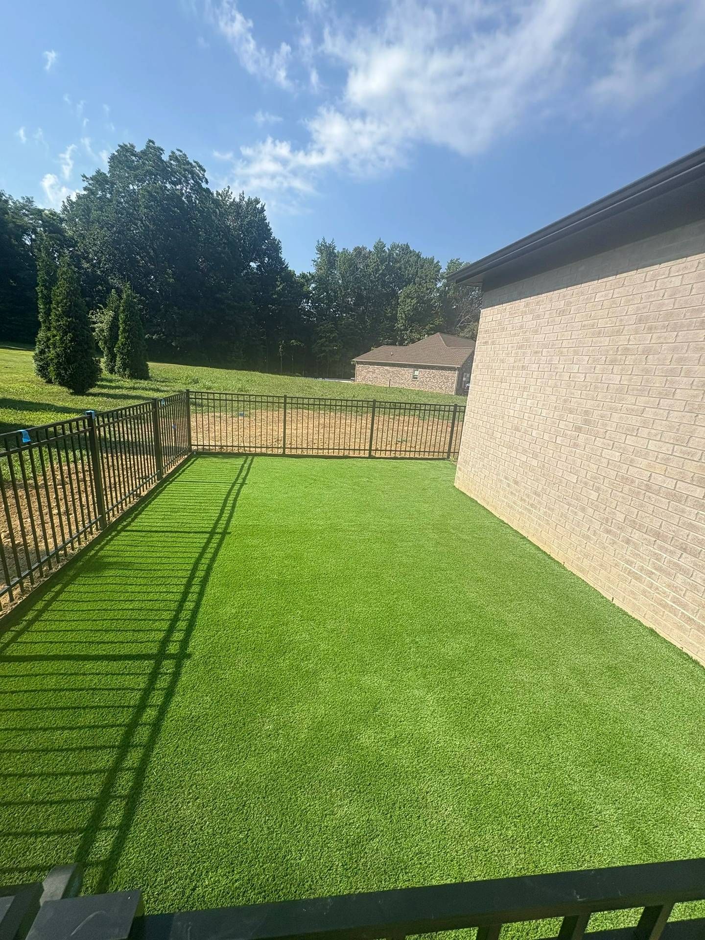 Sunny backyard with green lawn, beige house wall, wooden fence, and trees beyond the yard