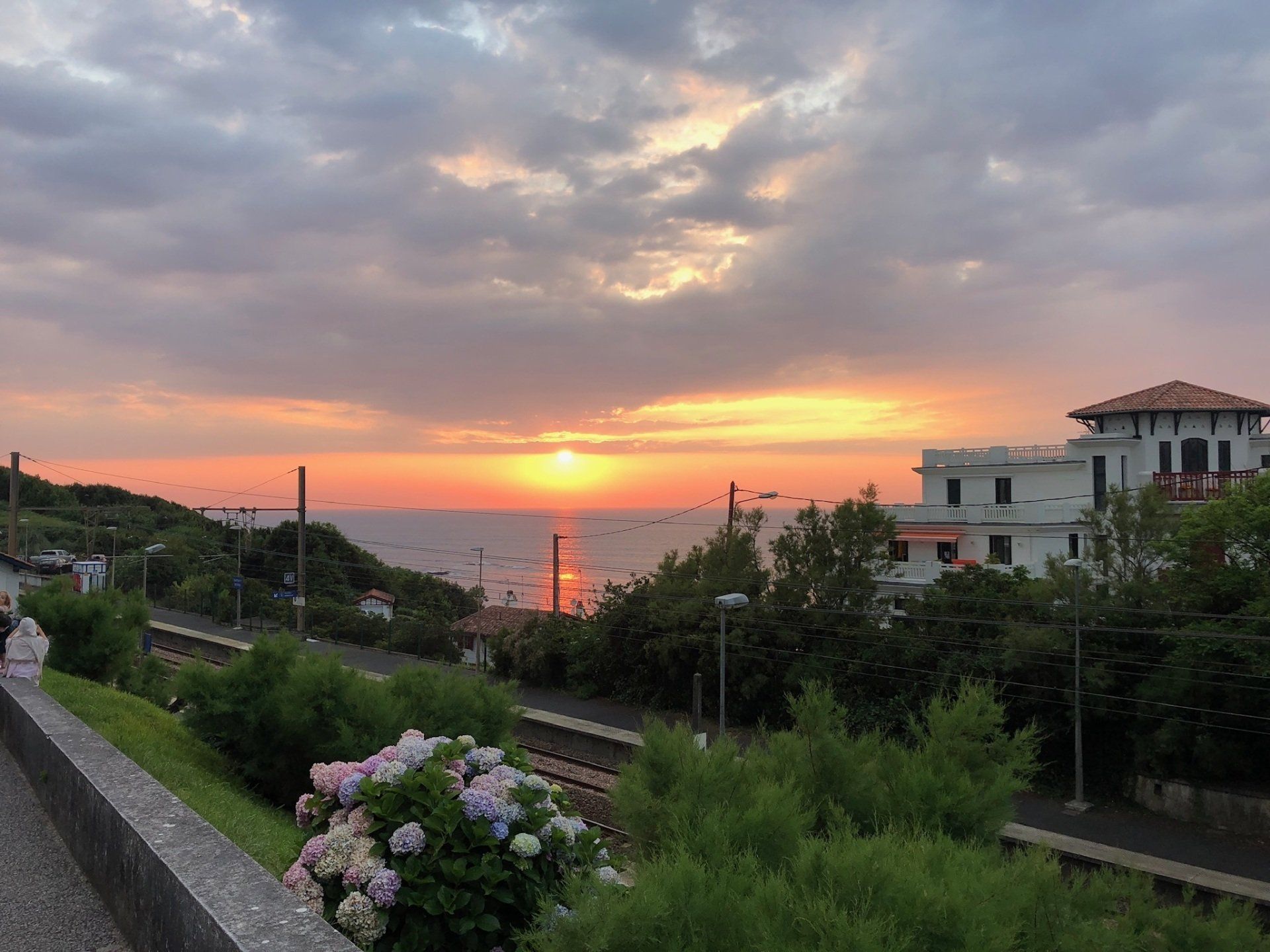 Sunset over a calm sea, viewed from a coastal path with lush greenery, a flowering bush, and a white villa nearby.
