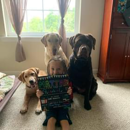 A little girl is reading a book while three dogs are sitting around her.
