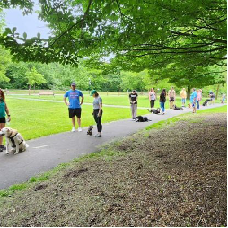 A group of people are walking their dogs in a park.