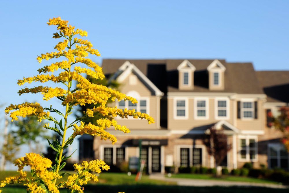 Townhome Exterior | Sal Lapio Homes