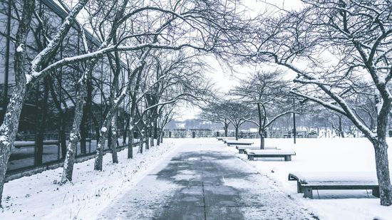 A black and white photo of a snowy park with trees and benches
