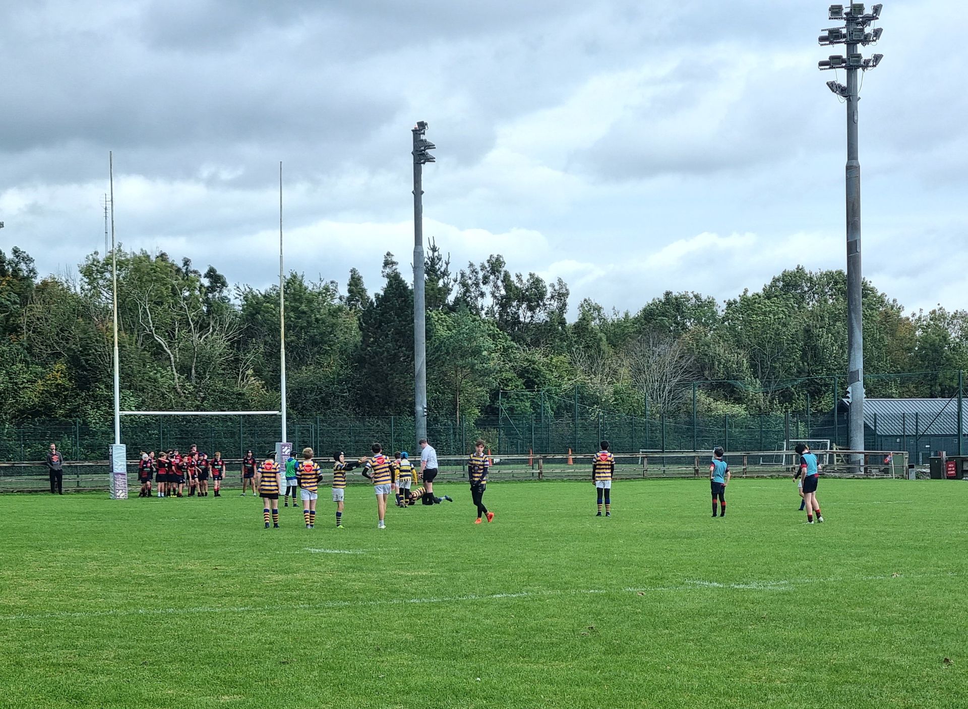 mini rugby players on pitch