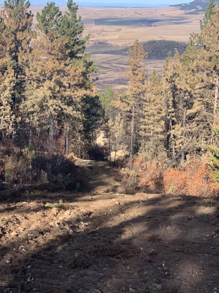 Dirt path winding through trees, leading to a valley with tan, open land. Sunny day.