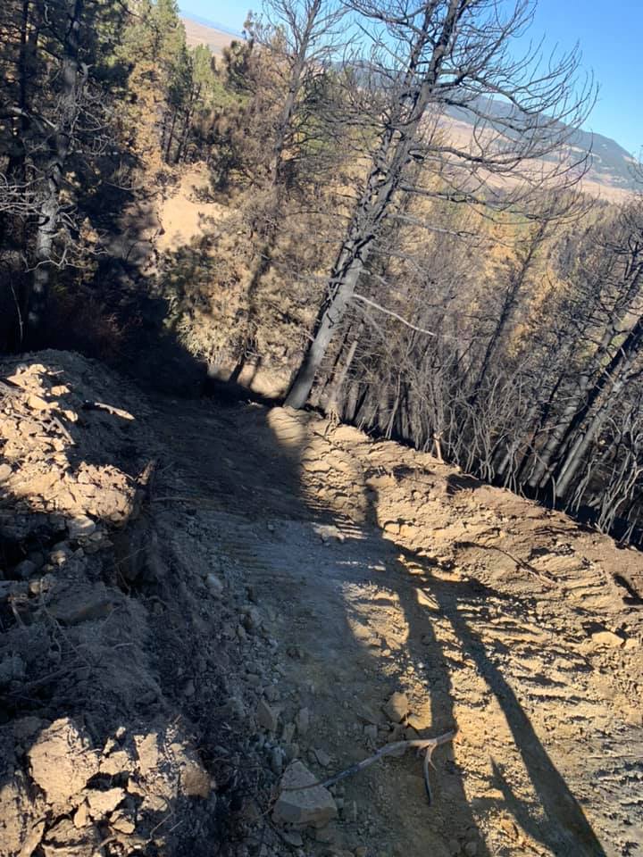 A dirt trail carved into a hillside, flanked by burned trees and brush under a bright sky.