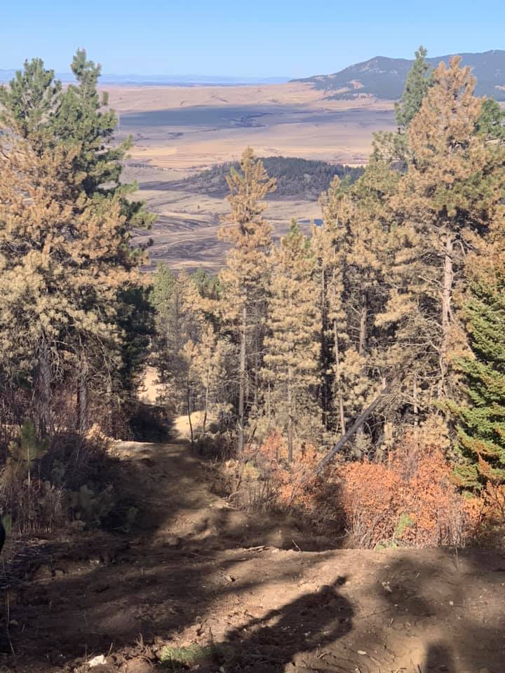 Dirt path through forest overlooking a valley; dry, brown grass, green and brown trees, blue sky.