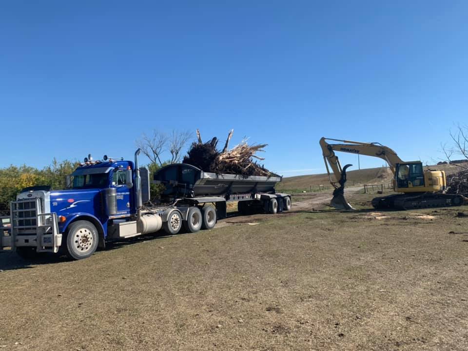 Blue semi-truck being loaded with debris by an excavator on a grassy field under a blue sky.