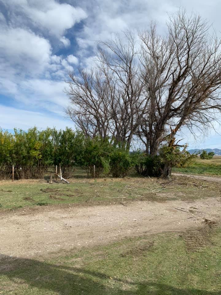 Grassy area with dirt path, green trees, bare trees, and a cloudy blue sky.