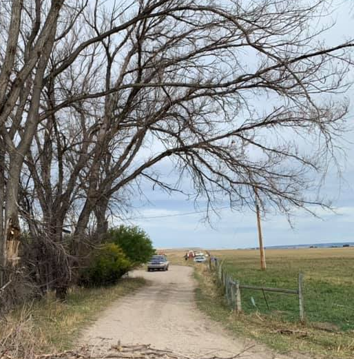Dirt road through field, car driving toward the horizon, leafless trees on the left, overcast sky.