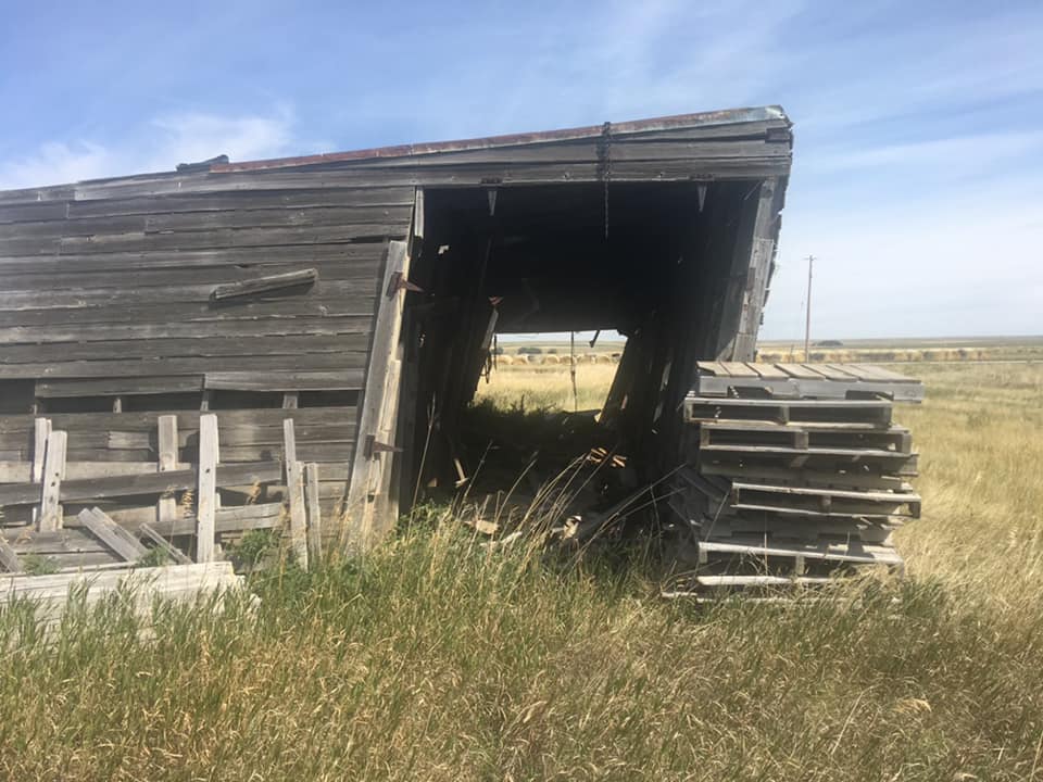 Dilapidated wooden structure in a field with stacked pallets nearby. Weathered gray wood, tall grass, sunny day.