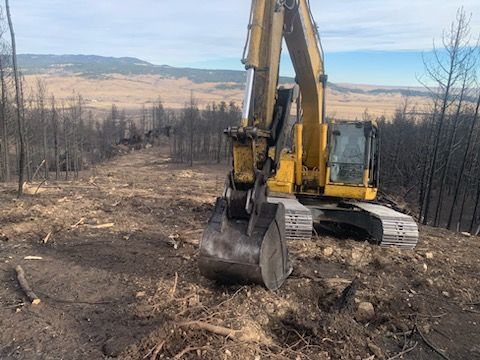 Yellow excavator on a hillside clearing land, charred trees, and distant landscape.