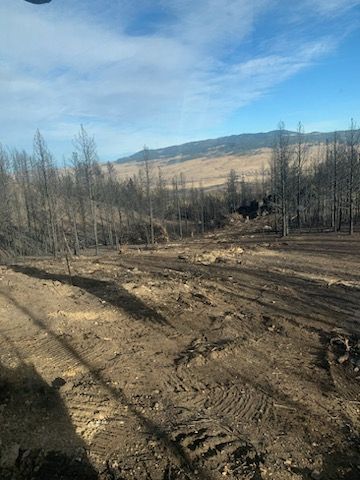 Clearcut area with charred trees, dirt, and distant hills under a blue sky.