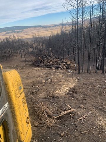 Yellow machinery clearing debris from a burned forest, distant valley view.