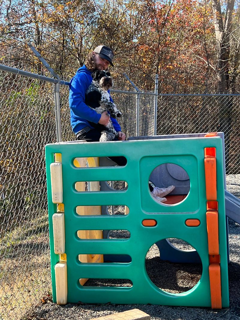 Contact Juliette, GA Happy Campers Pet Lodge