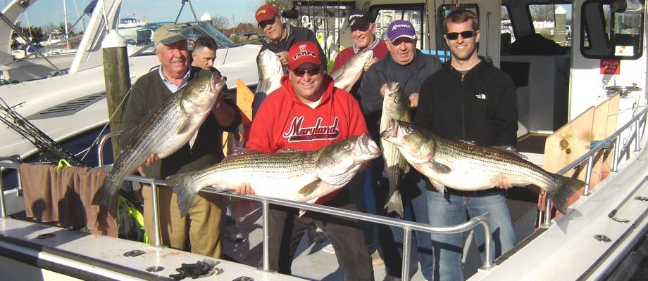 A group of men are standing on a boat holding large fish
