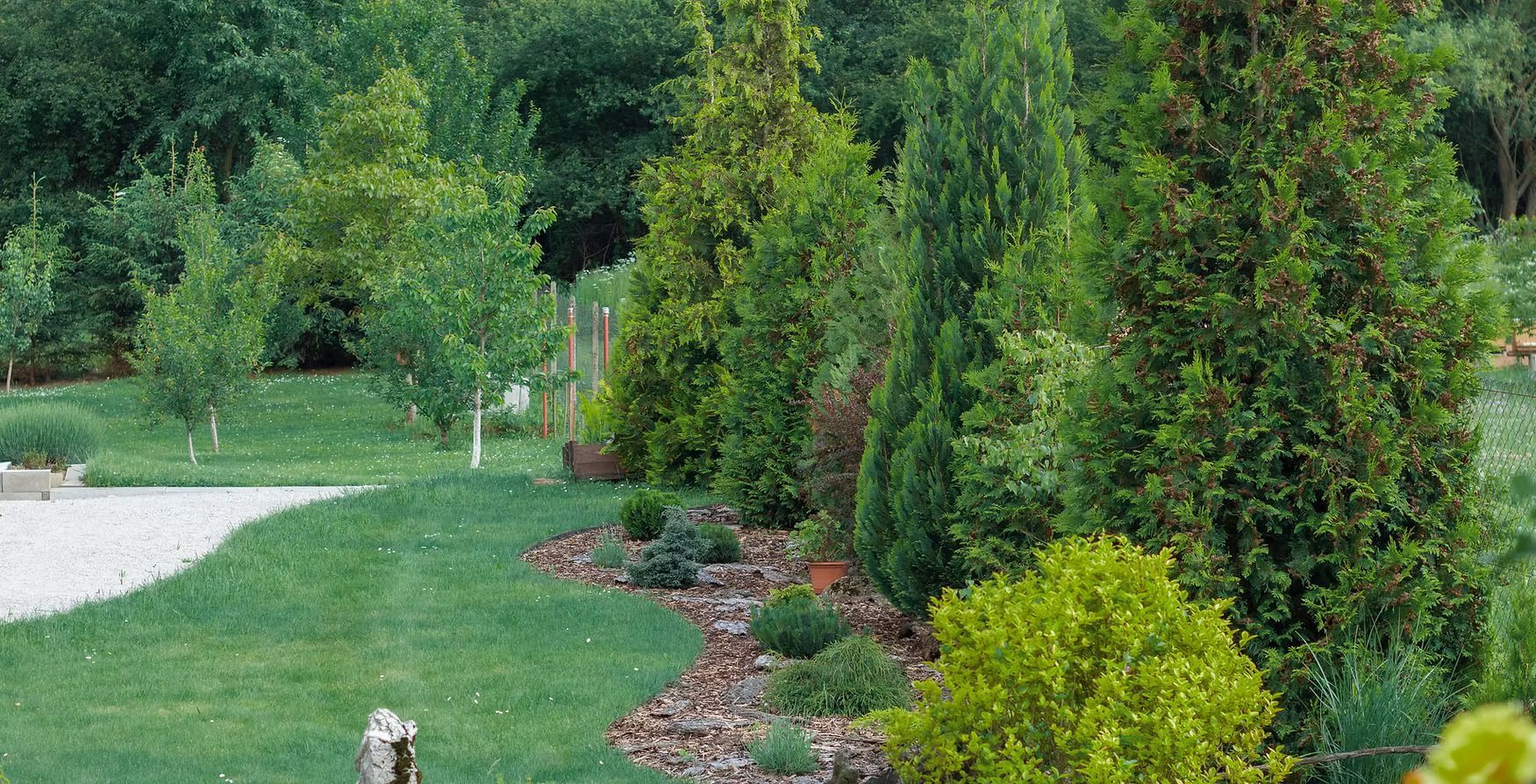 Lush green garden with curving white path, shrubs, and tall trees