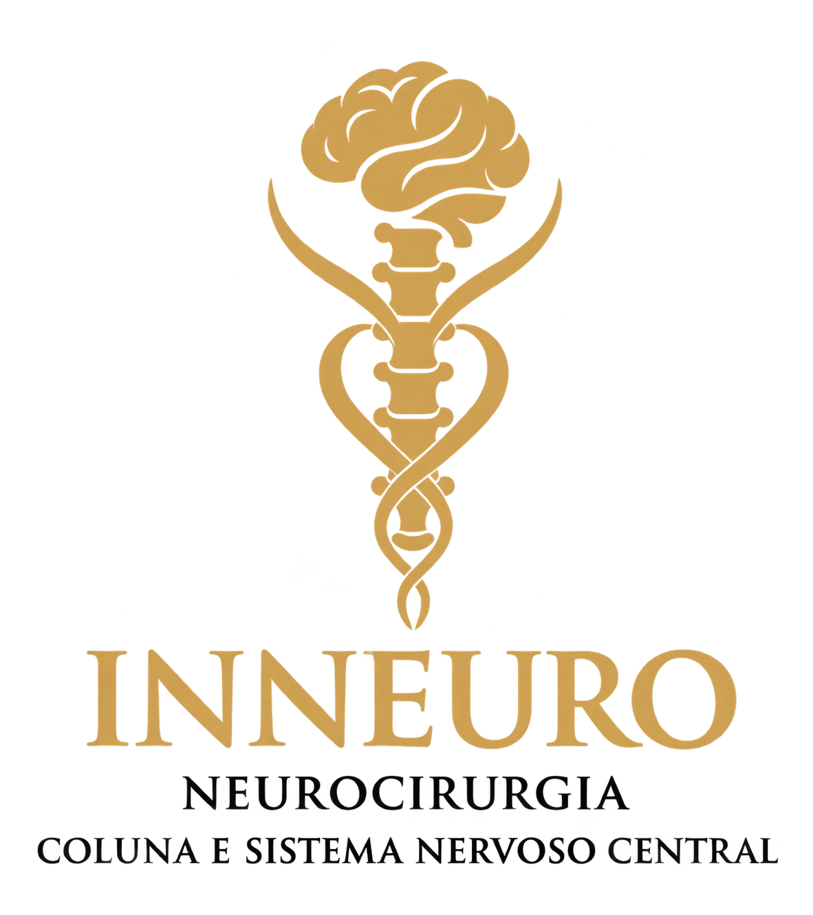 Logotipo INNEURO Neurocirurgia Coluna e Sistema Nervoso Central no RJ