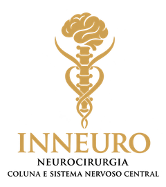 Logotipo INNEURO Neurocirurgia Coluna e Sistema Nervoso Central no RJ