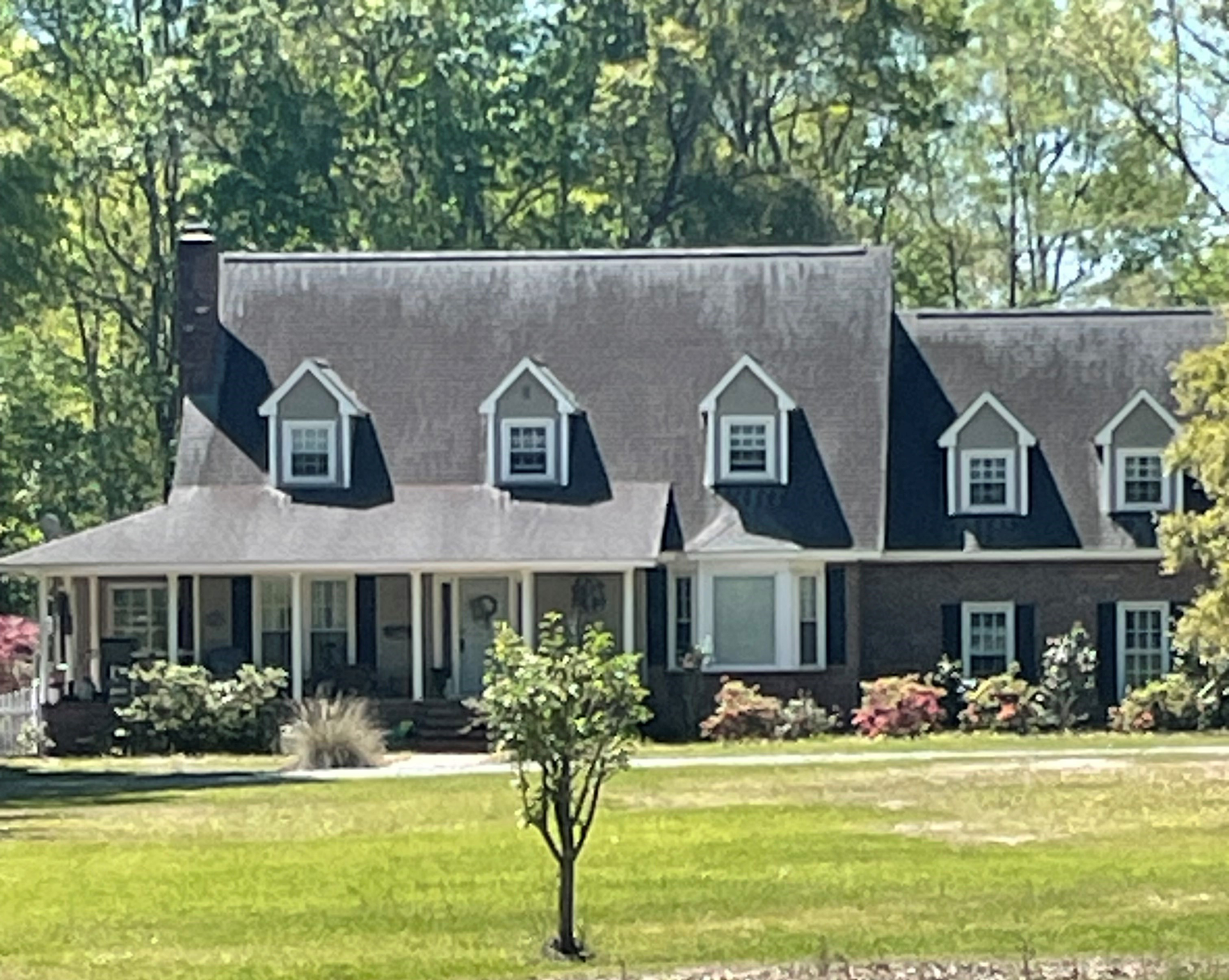 Before Roof Washing