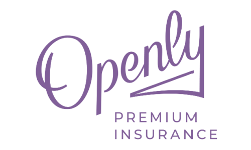 Openly premium insurance logo in purple and gray text