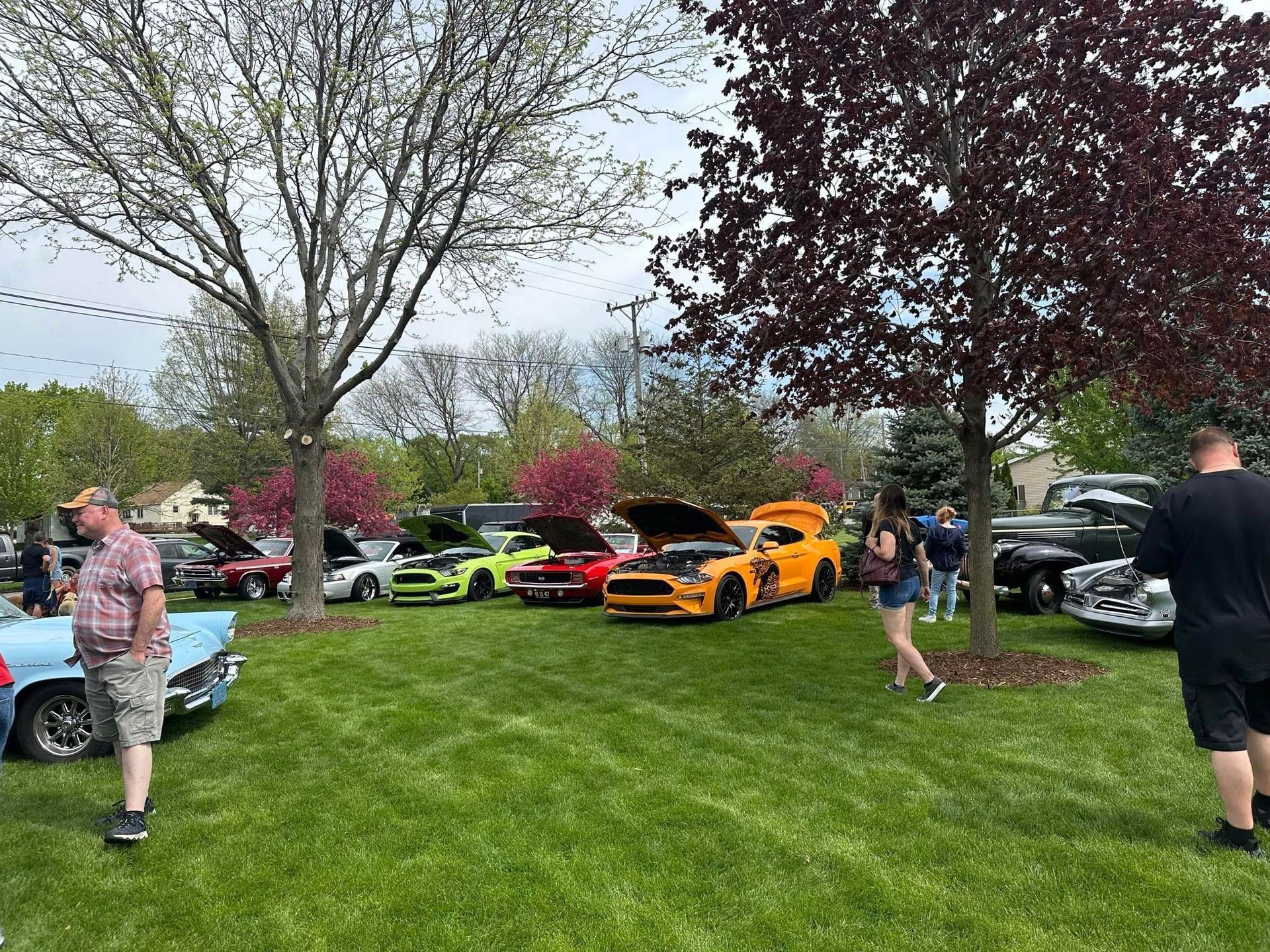 Car show on a grassy lawn; people viewing classic and customized cars. Trees with pink blossoms.