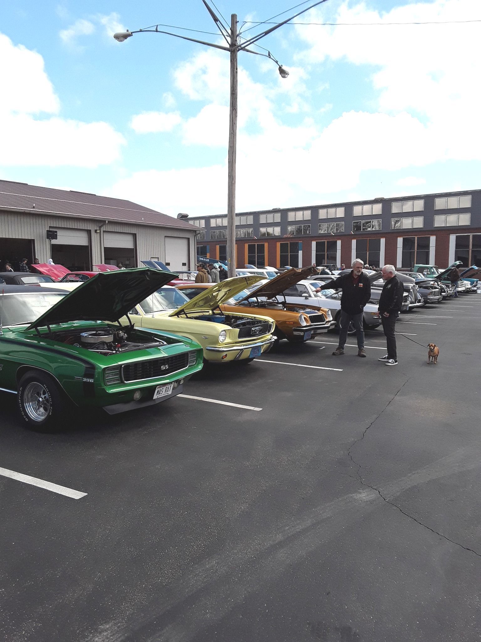Classic cars lined up in parking lot; two people stand near them, sunny day.
