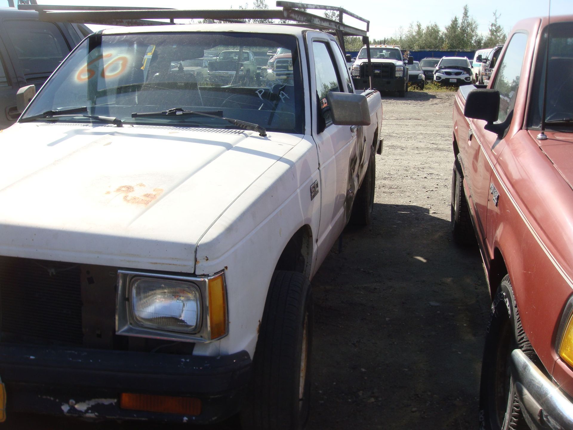 White pickup truck parked in a junkyard beside a red car