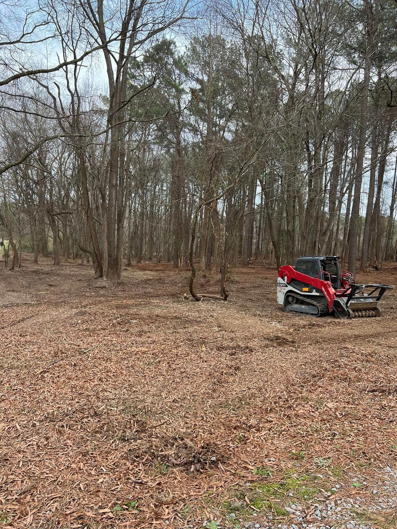A red and white skid-steer loader parked on a leaf-covered ground in a forest clearing.