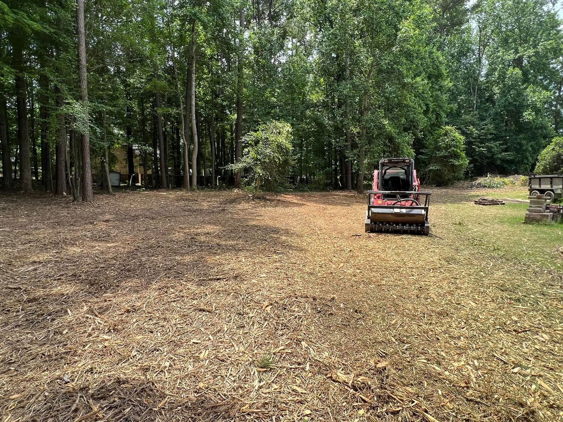 A red skid-steer loader parked in a partially cleared wooded area covered in wood mulch.