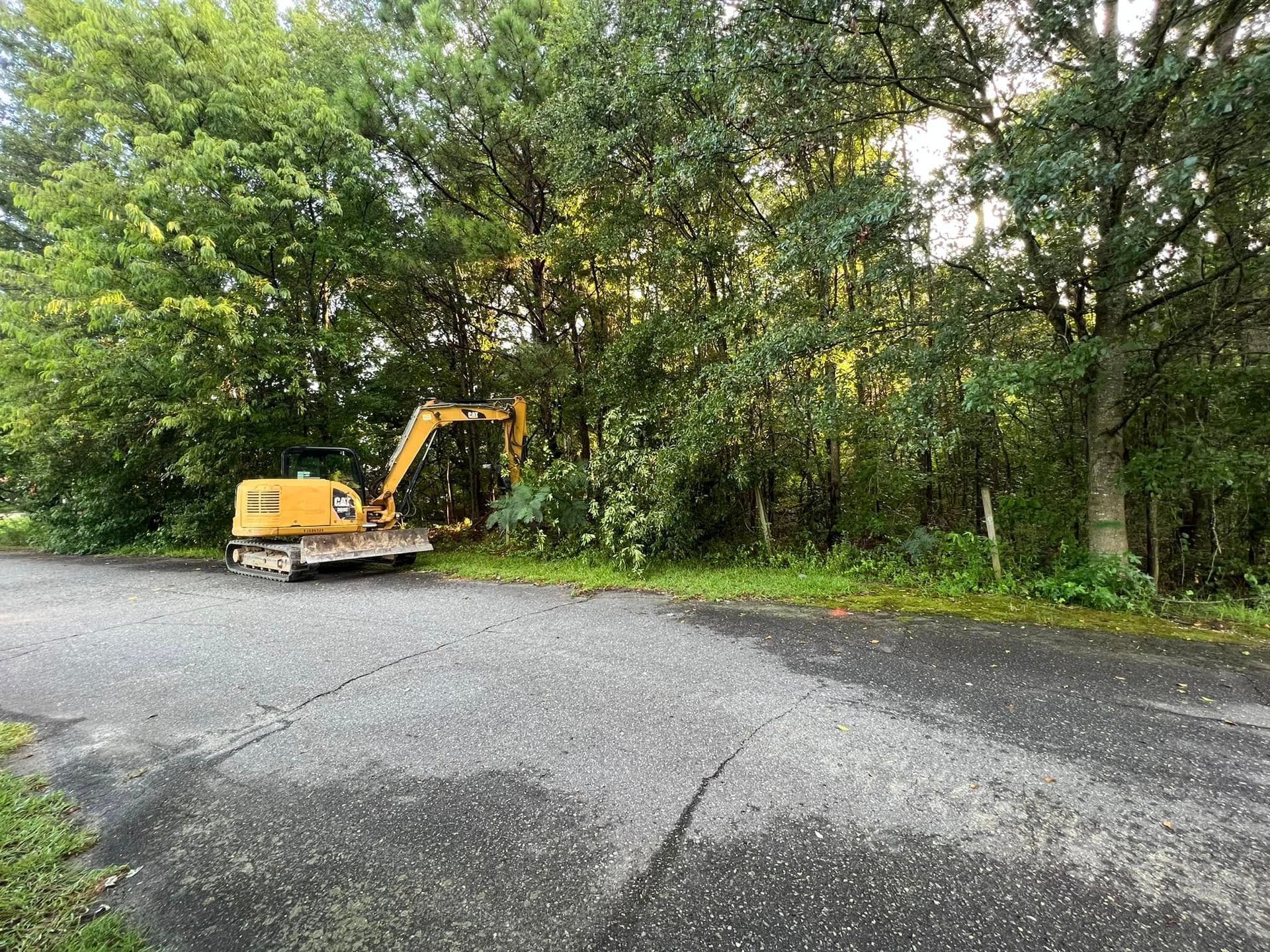 A yellow excavator parked on the edge of an asphalt road next to a dense treeline.