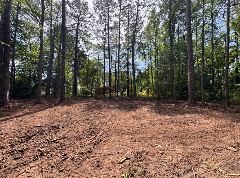 Cleared dirt clearing surrounded by tall trees in a sunlit wooded area