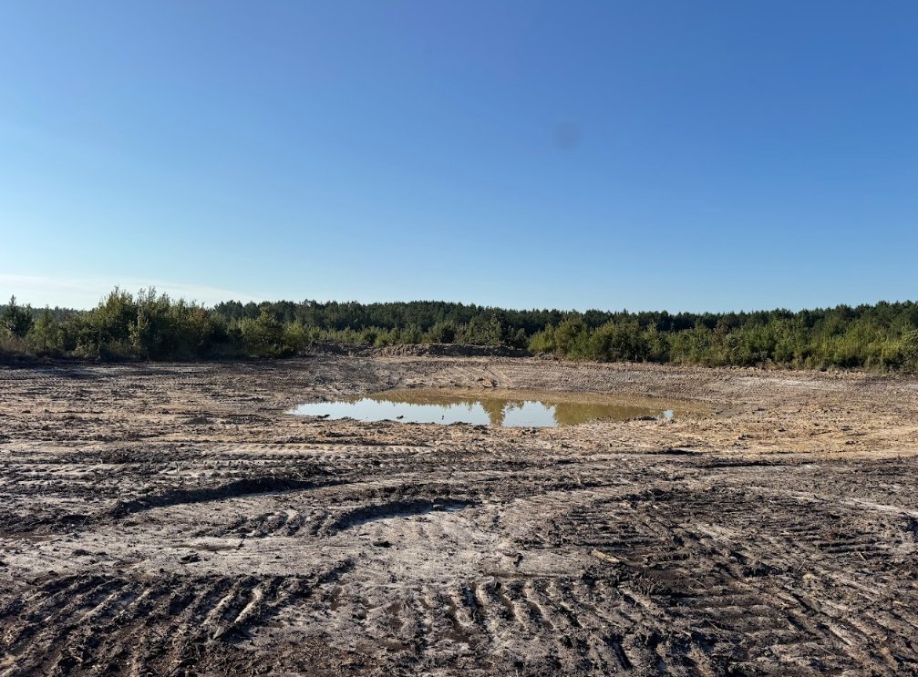Dry, muddy clearing with shallow puddles and a tree line under a clear blue sky
