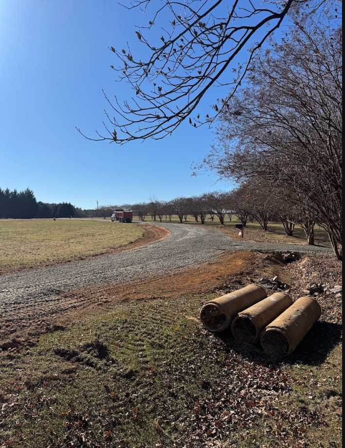 Gravel path through a grassy field with bare trees and stacked logs under a clear blue sky