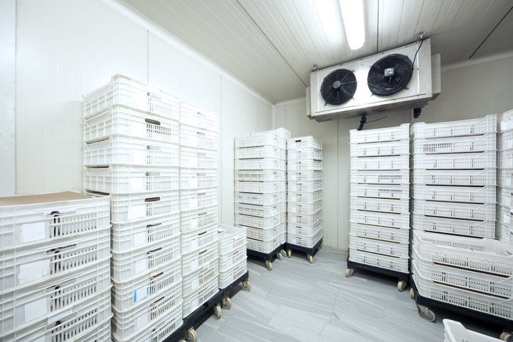 commercial cooler room filled with white crates and boxes