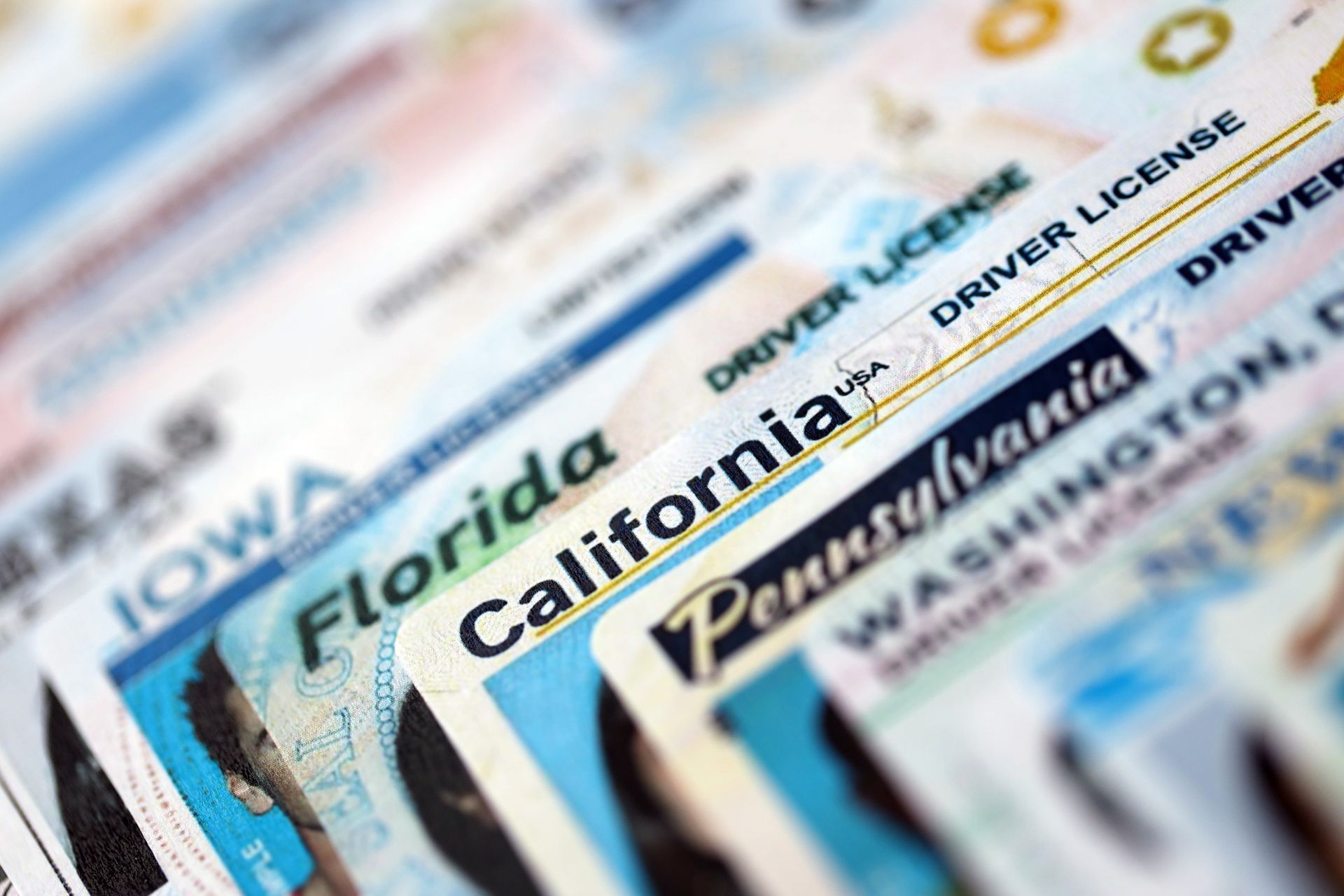 Stacked U.S. driver's licenses with state names visible, including Florida, California, Pennsylvania, and Washington.