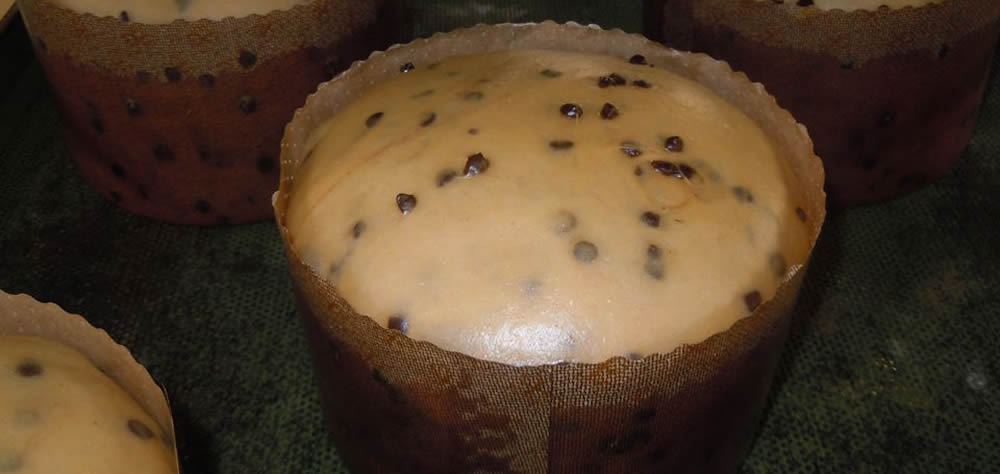 Panettoni