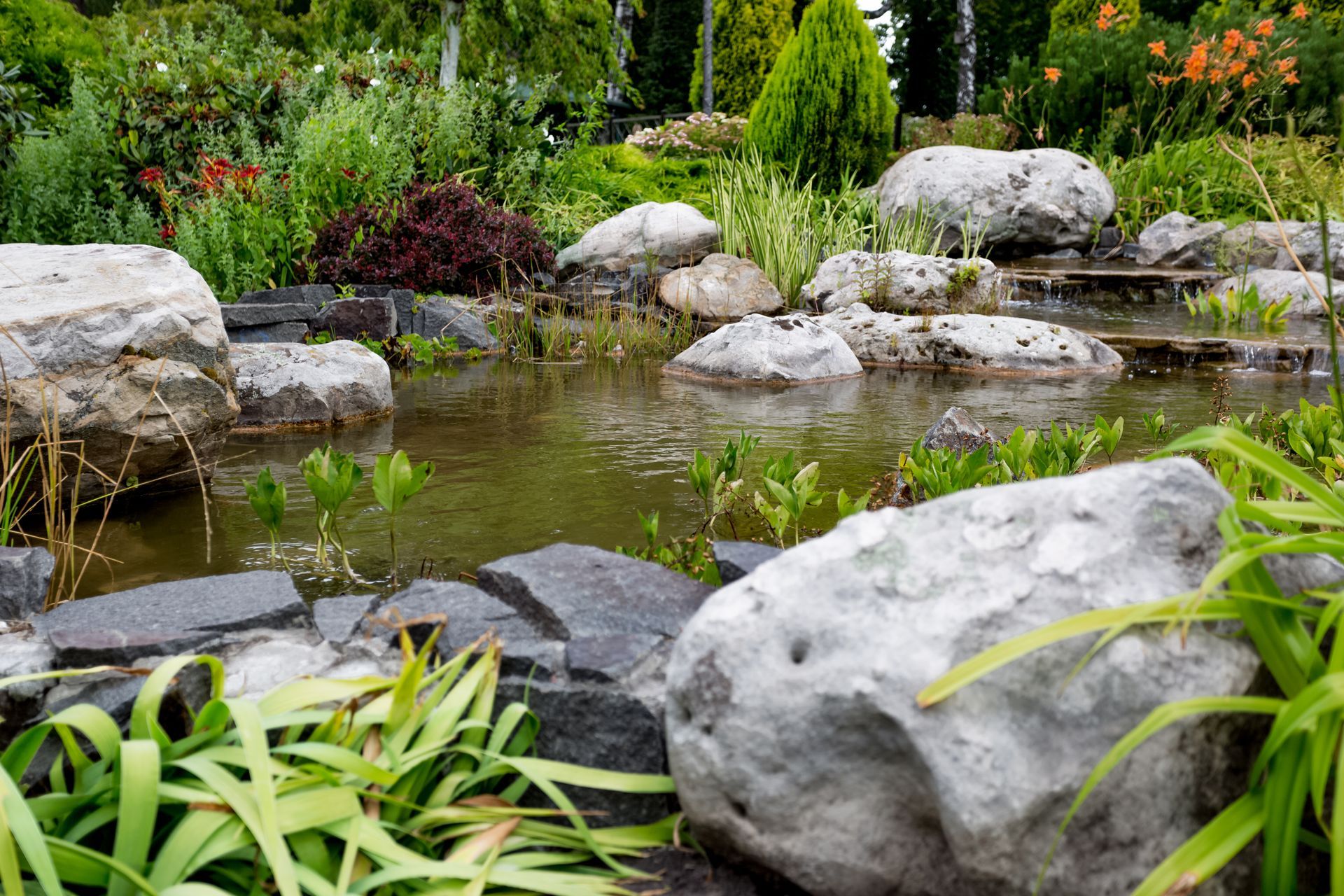 Rock garden pond with gray boulders, green plants, and still water in a landscaped garden