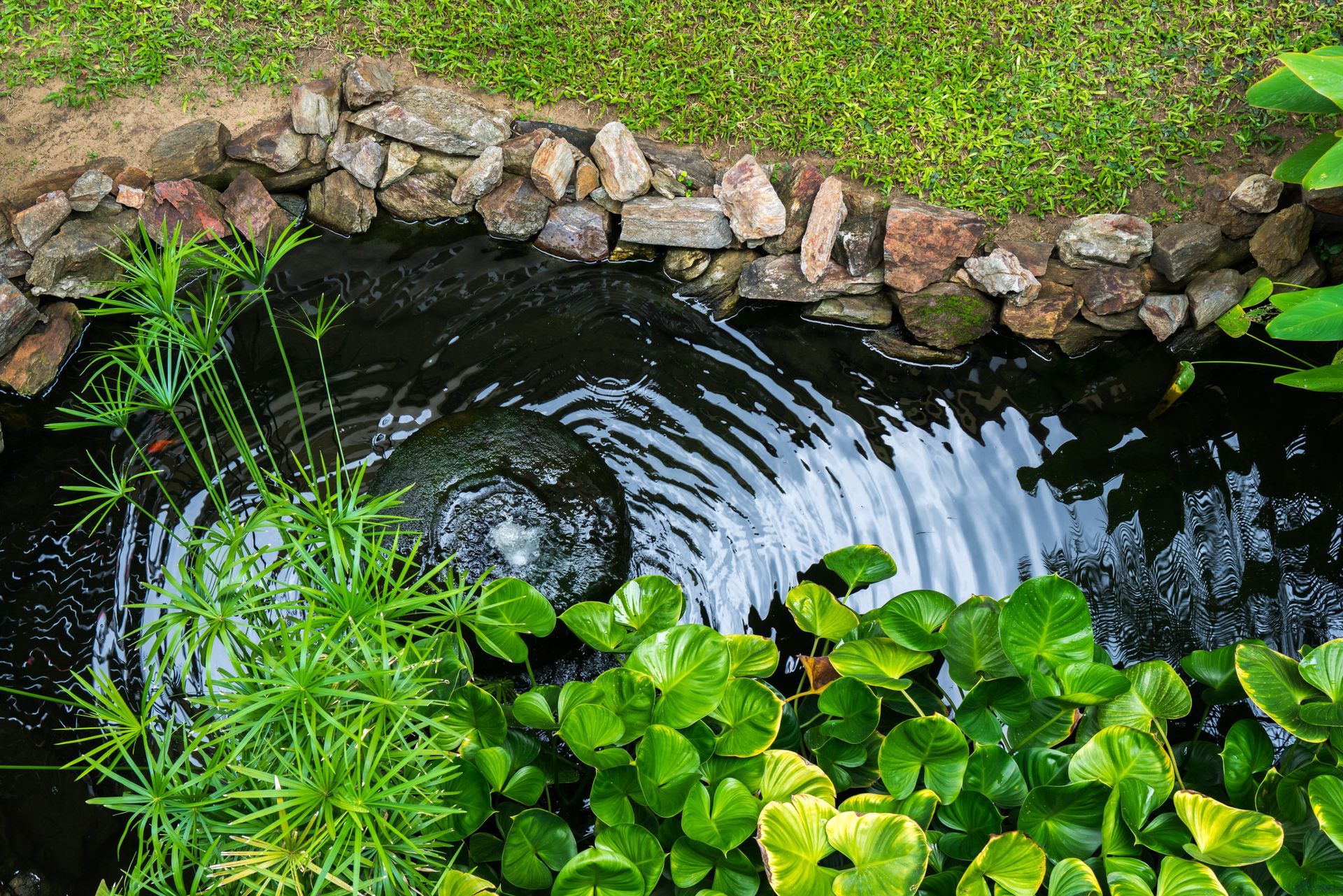 Small garden pond with rippling water, rocks, and lush green plants around the edge